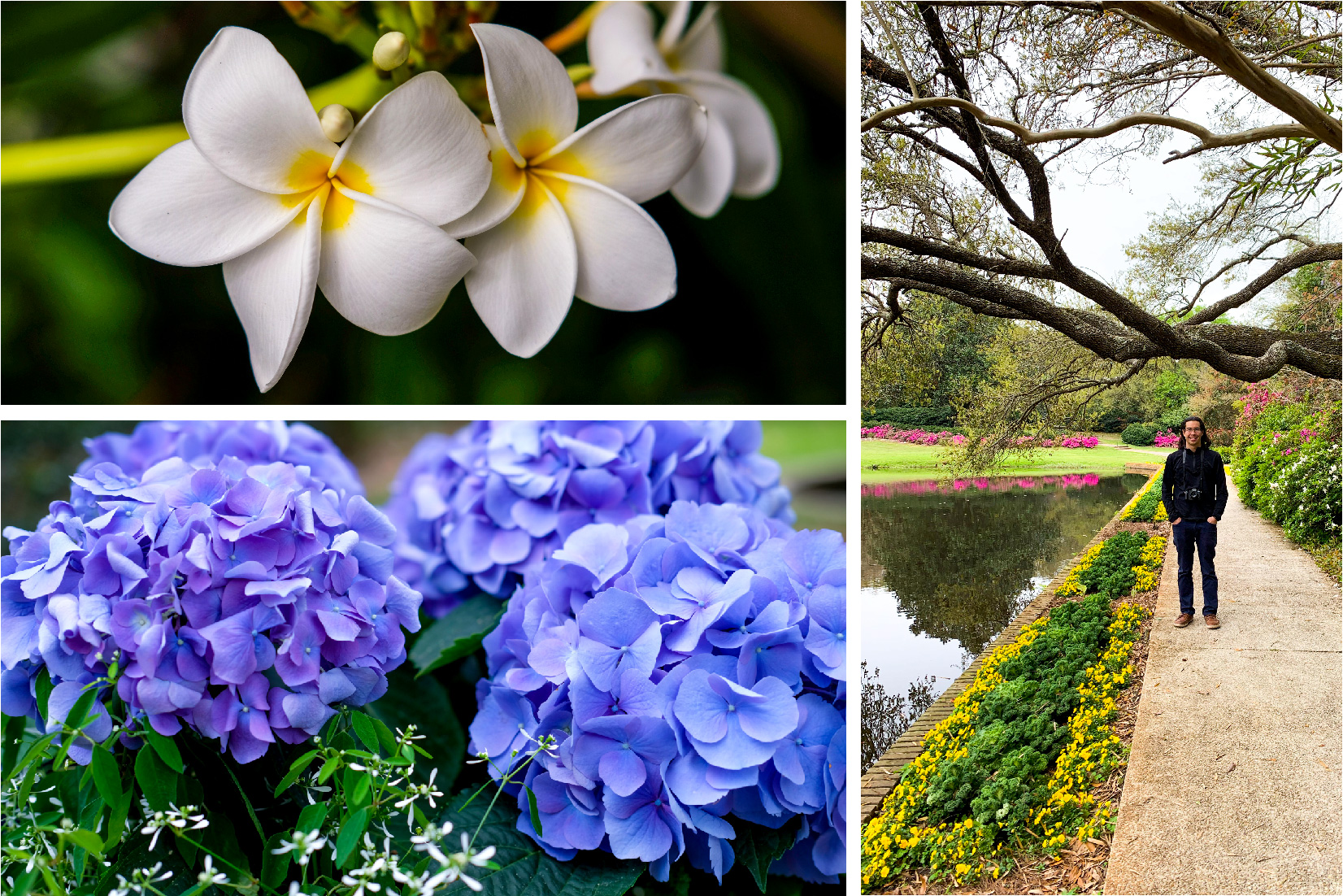 Bellingrath Gardens