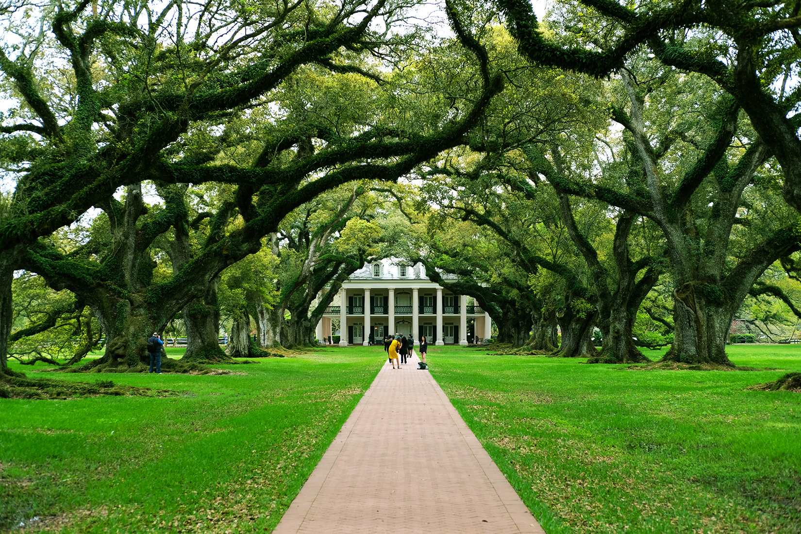 Oak Alley Plantation